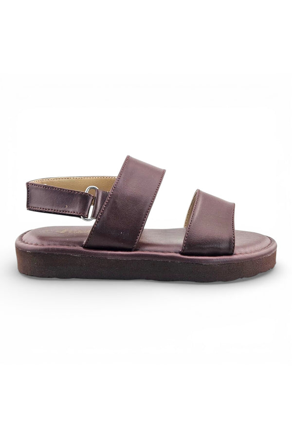 Brown / Coffee